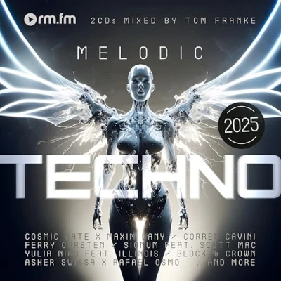 Afbeelding van V/A Melodic Techno 2025 (CD)