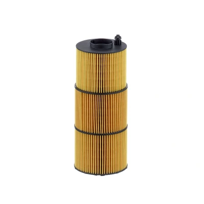 Afbeelding van MANN Filter HU 11 009 z Oliefilter insert DAF: XF II