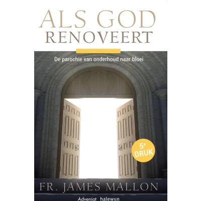 Afbeelding van Als God renoveert