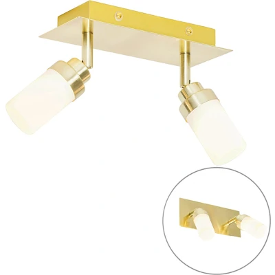Afbeelding van QAZQA japie Moderne Wand en Plafondspot Spotje Opbouwspot voor badkamer 2 lichts L 22 cm Goud/messing