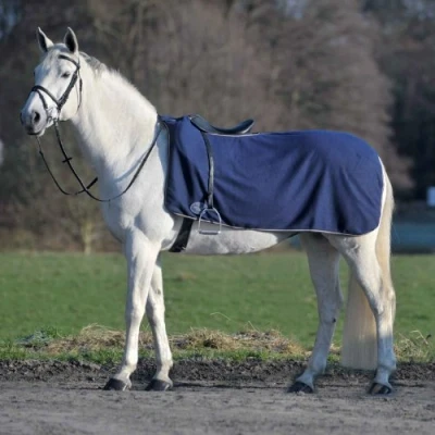 Afbeelding van Waldhausen ECONOMISCHE fleece nierdeken Full Navy
