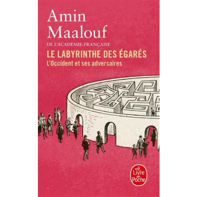 Image de Le Labyrinthe des égarés