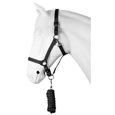 Image de Horka Ensemble Licol Dime Noir Shetland