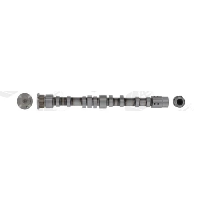 Afbeelding van AE CAM1006 Nokkenas Inlaatzijde VOLKSWAGEN: Golf 6, Plus / Crossgolf, Polo V Hatchback, AUDI: A1 Sportback