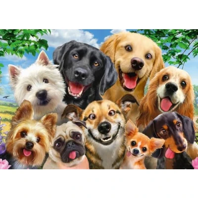 Image de Schmidt Puzzle Chien Selfie, 500 pièces
