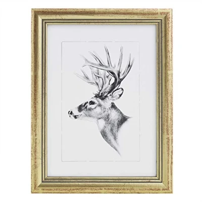Afbeelding van WOLTU BRU9894gd houten fotolijst met glasplaat, Artos stijl, A4, 21 x 29,7 cm, goudkleurig
