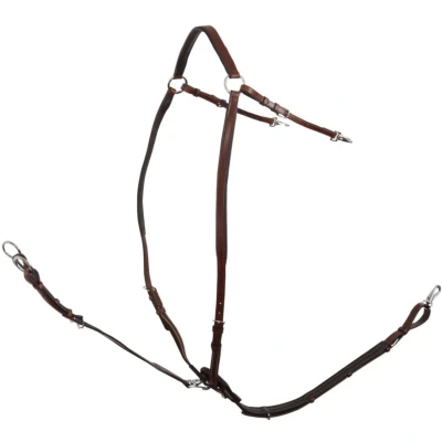 Afbeelding van BR Voortuig Rayleigh met Zadelriemen en Elastiek Oak/Zilver Cob