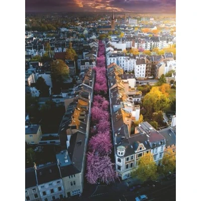 Afbeelding van Ravensburger Bonn met bloemen (1500 onderdelen)