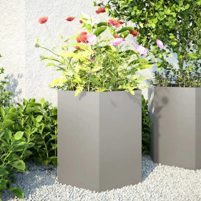 Afbeelding van vidaXL Plantenbakken 2 st zeshoek 46x40x45 cm roestvrijstaal