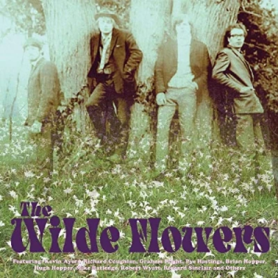 Afbeelding van The Wilde Flowers