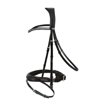 Image de Passier Bridon Atlas Noir/Argent Cob