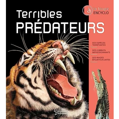 Afbeelding van ISBN 9782036055728 boek Educatief Frans 144 pagina&#039;s