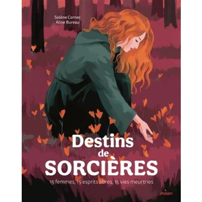 Image de Destins de sorcières 15 femmes, esprits libres, vies meurtries