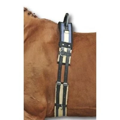 Image de HKM Surfaix de Longe avec Poignée Bleu foncé Cob/Full