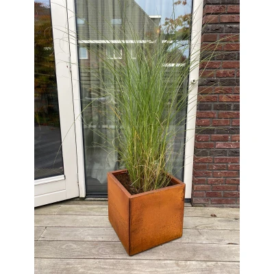 Afbeelding van Plantenbak Cortenstaal 50x50x50 cm Wovar