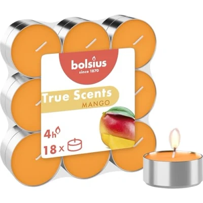 Image de Bolsius, Bougie chauffe plat parfumée 4 heures Orange Parfum mangue True Scents