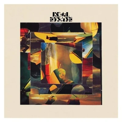 Afbeelding van Real Estate Main Thing (2 LPs)