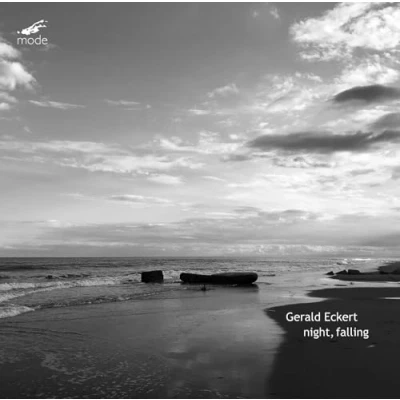 Afbeelding van Gerald Eckert Night, Falling (2 CD)