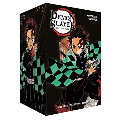 Afbeelding van DEMON SLAYER,01 06 (COFFRET)