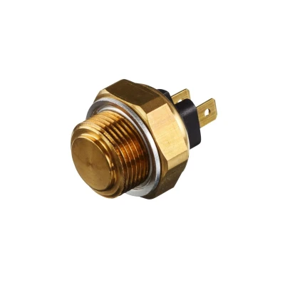 Afbeelding van Hella Temperatuurschakelaar 6ZT 007 800 031