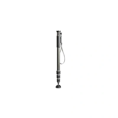 Afbeelding van Gitzo GM2542 eXact carbon monopod series 2