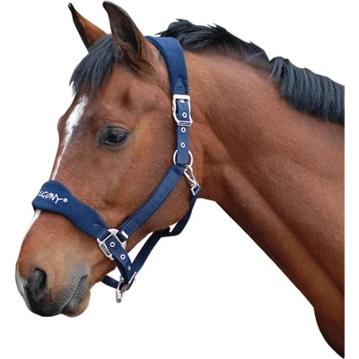 Afbeelding van Pagony halster Reno donkerblauw maat:full