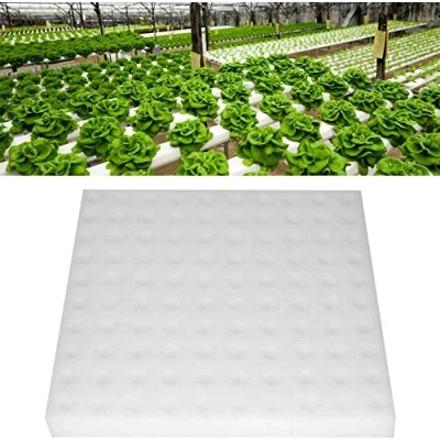 Afbeelding van Wifehelper Hydrocultuur Sponzen, 100 Stuks Zaad Groeiende Substraat Tuinieren Tool voor Kleine Knoppen Groei of Jonge Planten kweken