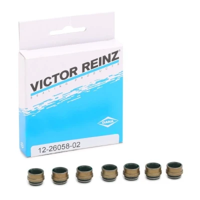 Afbeelding van Reinz Klepsteeldichting 12 26058 02