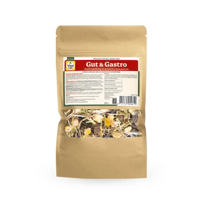 Afbeelding van Vitalstyle Muesli Gut &amp; Gastro Luzernevrij Proefzakje