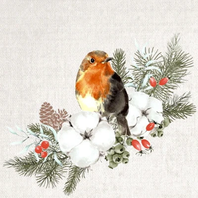 Afbeelding van Servet l24b24 cm robin forest 20st Duni