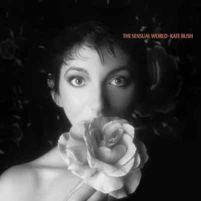 Afbeelding van The Sensual World