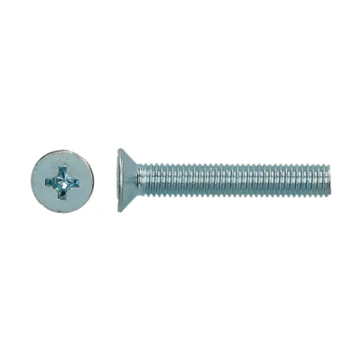 Afbeelding van Metaalschroef M6x100 ( 100st)