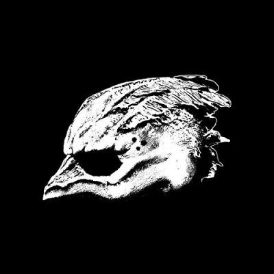 Afbeelding van Legend Of The Seagullmen