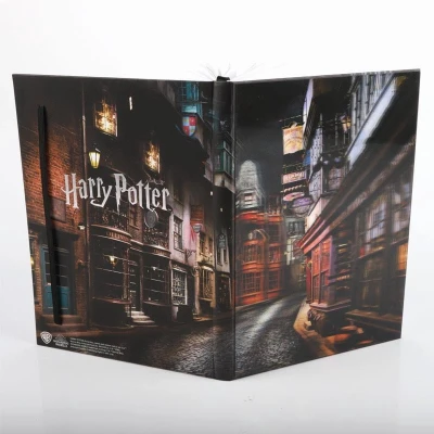 Afbeelding van Harry Potter Wegisweg Lenticulair notitieboekje A5