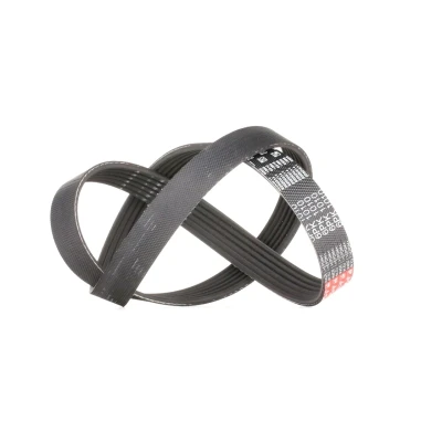 Afbeelding van Gates Poly V riem 6PK1010