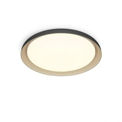 Afbeelding van Philips Pebblo plafondlamp Ultra Efficient SceneSwitch lichttechnologie 10W warmwit licht Zwart met goud design Bespaar op energiekosten