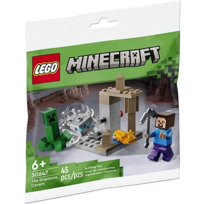 Afbeelding van LEGO 30647 Minecraft De Druipsteengrot polybag