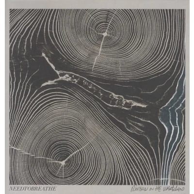 Afbeelding van Needtobreathe Rivers In The Wasteland (LP)