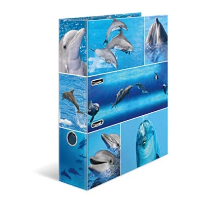 Afbeelding van HERMA 7167 map Doos Multi kleuren A4