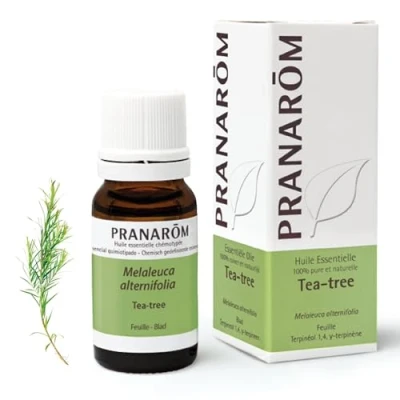 Afbeelding van Pranarôm Essentiële Olie Tea Tree 10ml
