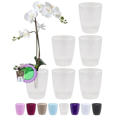 Afbeelding van SANTINO Set van 6 orchideeënpotten Ø 12 cm met lontsysteem en waterniveau indicator voor binnen, transparant, 1,3 l