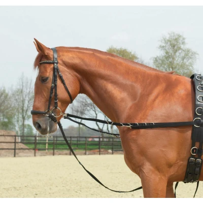 Image de Busse Side Reins Oesen Starr