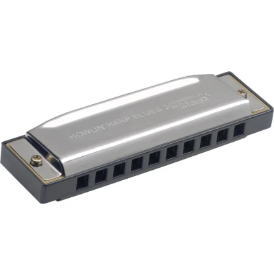 Afbeelding van Stagg Mondharmonica BJH B20 D