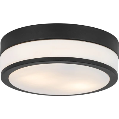 Afbeelding van QAZQA Moderne buiten plafondlamp zwart 28 cm IP44 Flavi