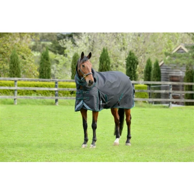 Image de Weatherbeeta ComFiTec Plus Dynamic II Detach A Neck 110g Dark Green