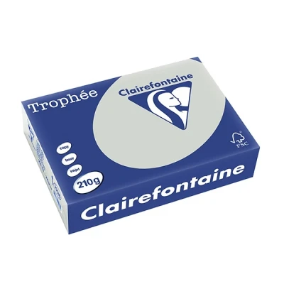 Image de Clairefontaine papier couleur 210 g/m² A4 (250 feuilles) gris acier