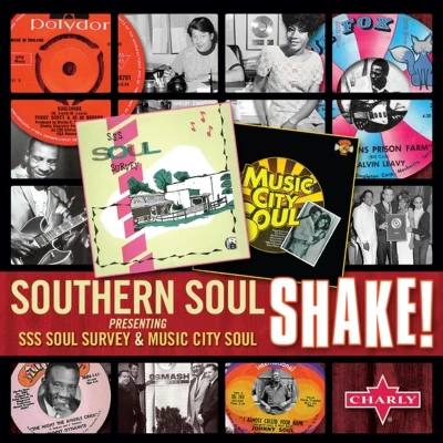 Afbeelding van Various Artists Southern Soul Shake (2 CD)