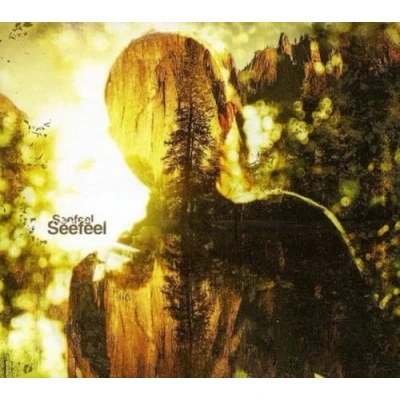Afbeelding van Seefeel