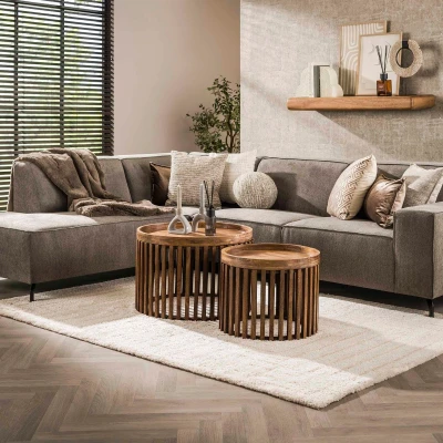 Afbeelding van Odila salontafel mangohout set van 2