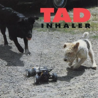 Afbeelding van Tad Inhaler (LP)
